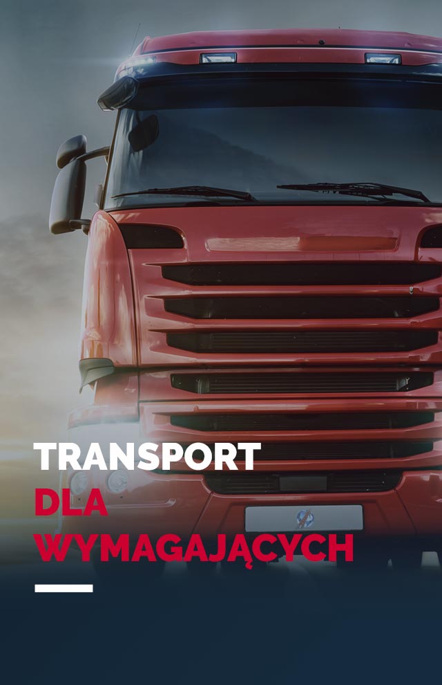 Transport materiałów sypkich - Transmig