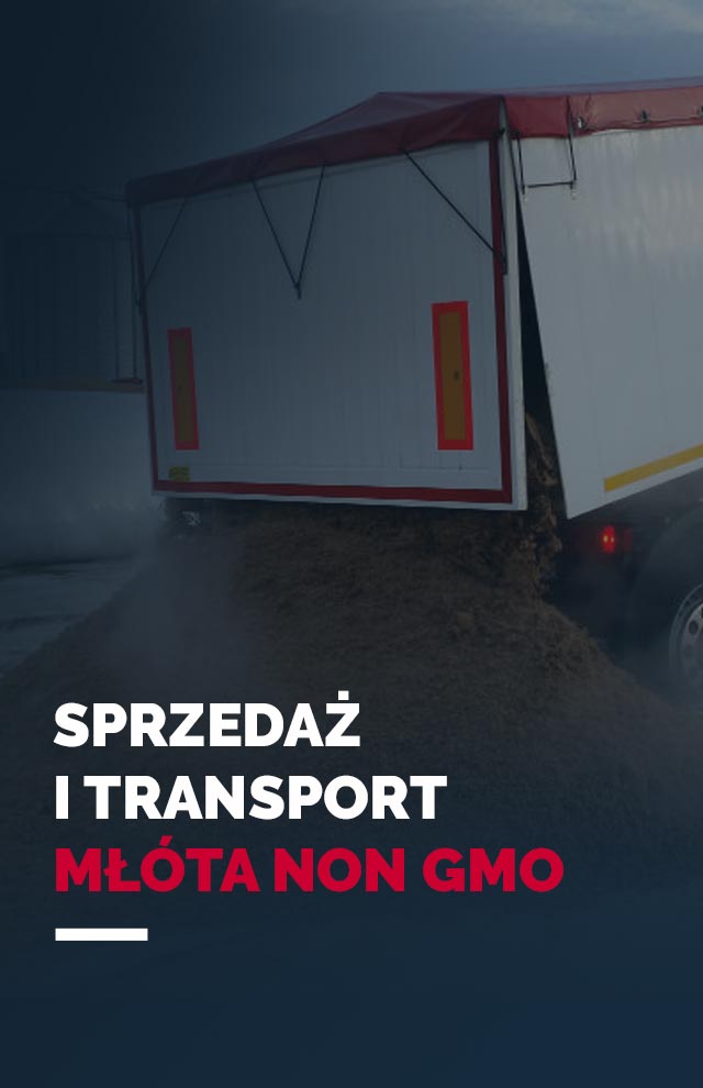 Sprzedaż młóta browarnianego non gmo - Transmig